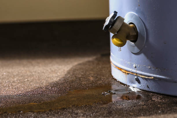 Best Carpet water damage restoration  in West Slope, OR