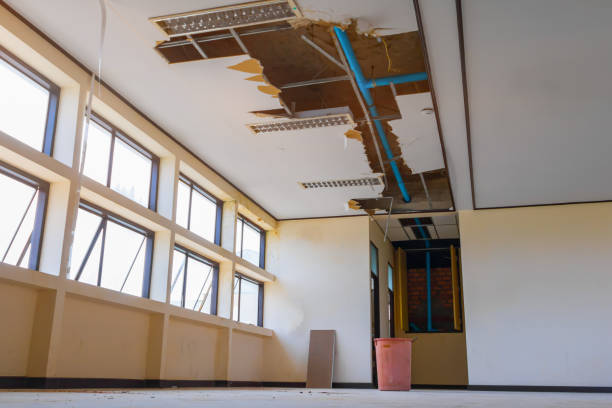 Best 24/7 water damage repair  in West Slope, OR