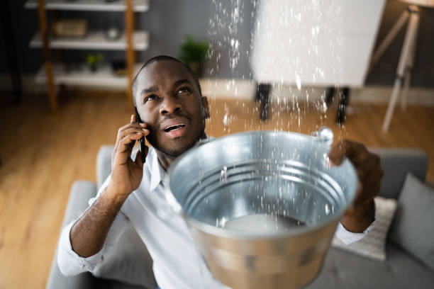 Best Water damage restoration insurance claims  in West Slope, OR