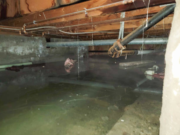 West Slope, OR Water damage restoration Company