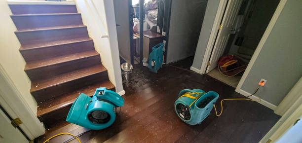 Best Water damage restoration near me  in West Slope, OR