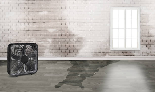  West Slope, OR Water damage restoration Pros