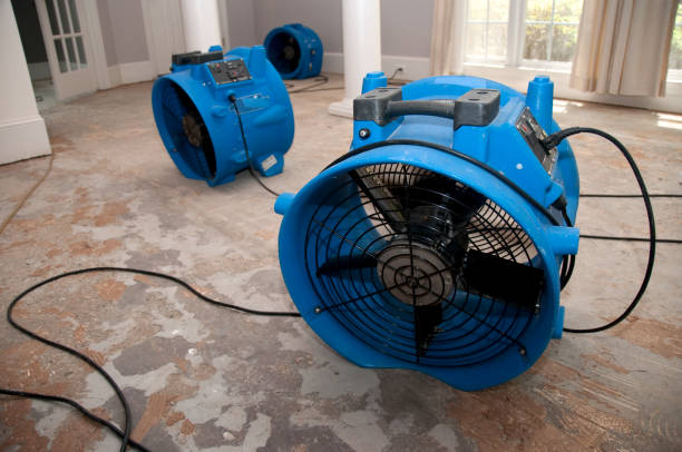 Best Commercial water damage restoration  in West Slope, OR