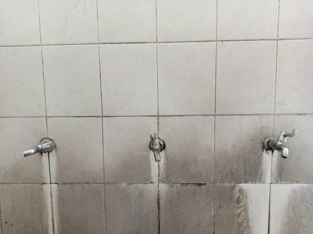 Best Flooded house restoration  in West Slope, OR