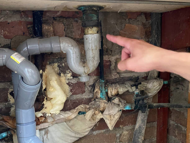 Best Water damage restoration cost  in West Slope, OR