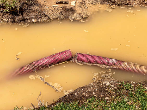 Best Sewage cleanup and water damage restoration  in West Slope, OR