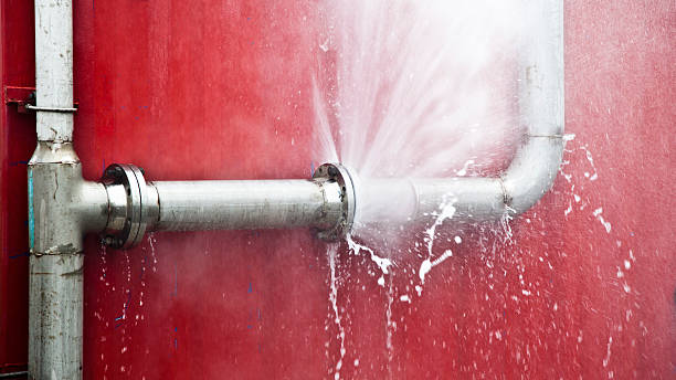 Best Professional water damage repair  in West Slope, OR